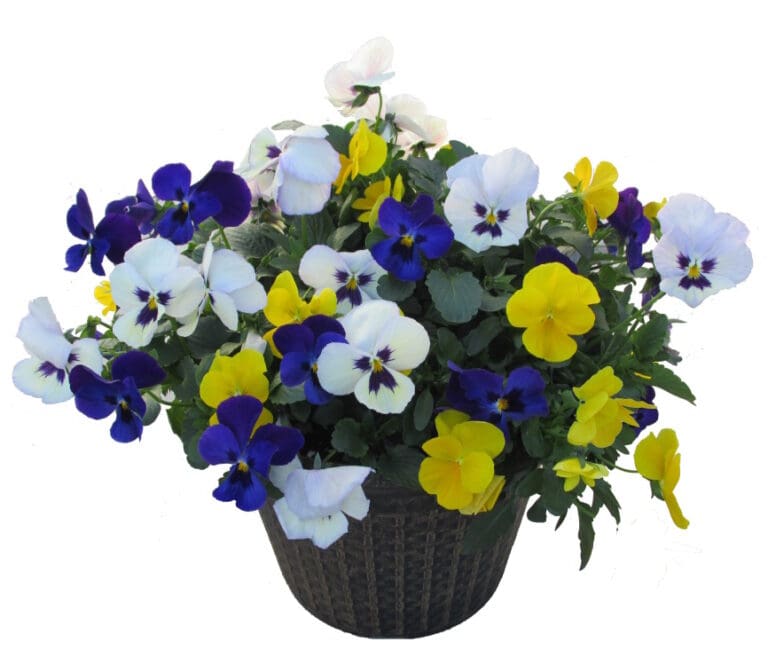 Springtime Mix