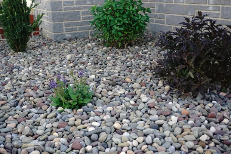 4" Decorative River Stone