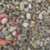 Bulk Alleghany 3/4" Decorative River Stone for sale near me in Lebanon PA.