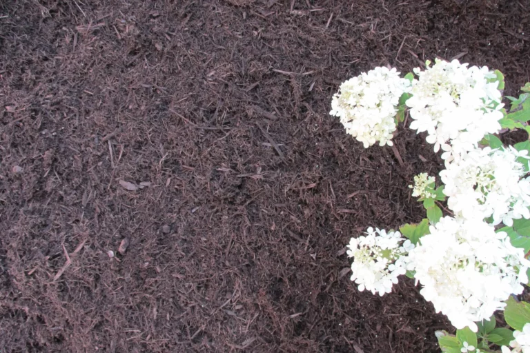 Chestnut Brown Bark Mulch