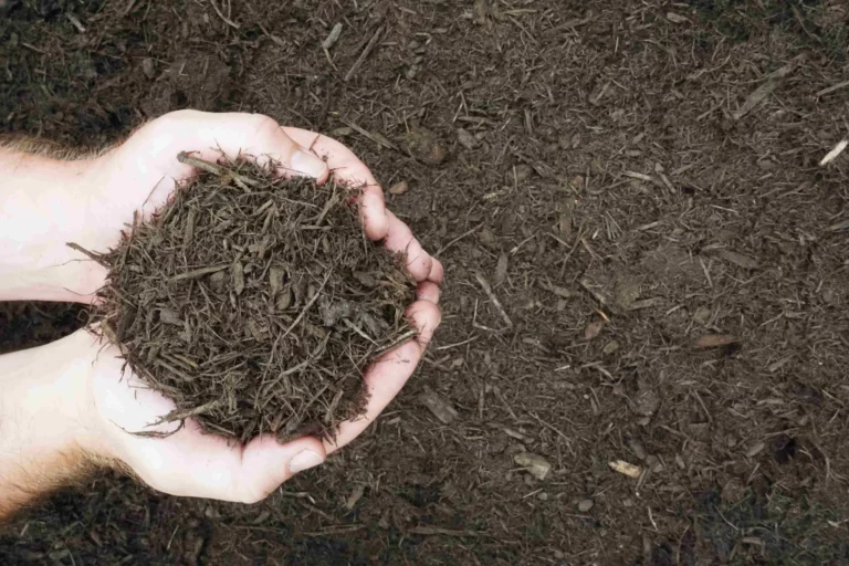 Chestnut Brown Bark Mulch
