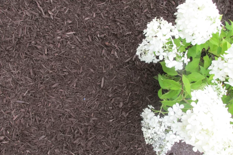 Chocolate Brown Mulch