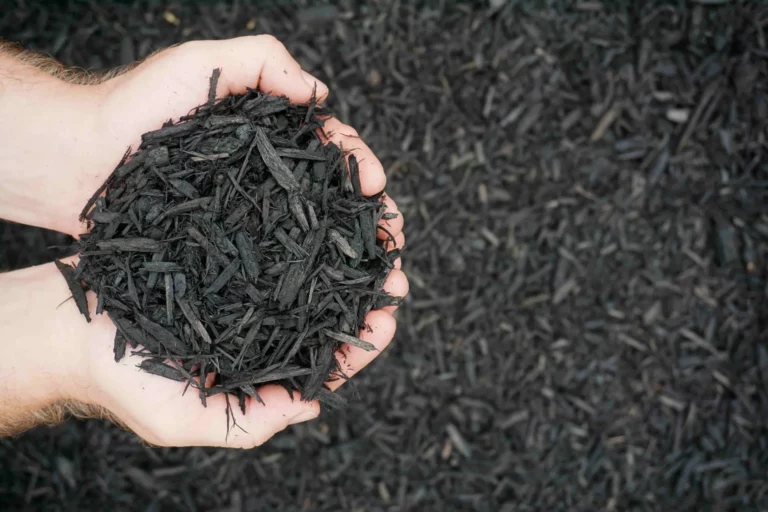 Colonial Black Mulch