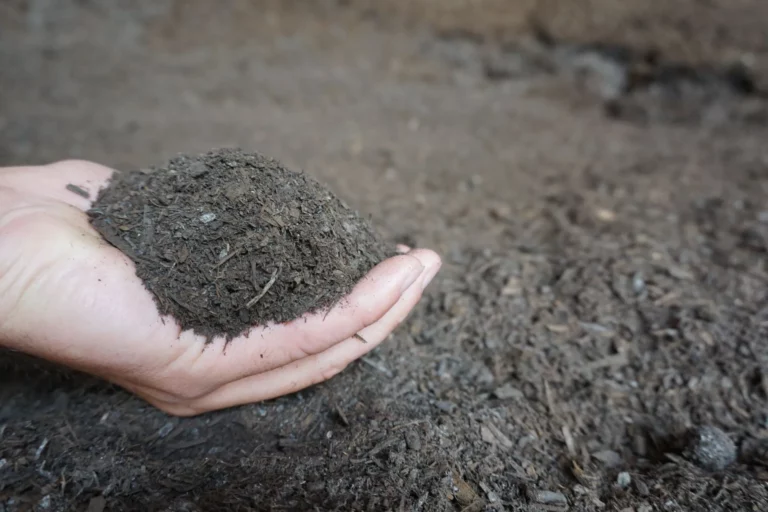 Organic Compost