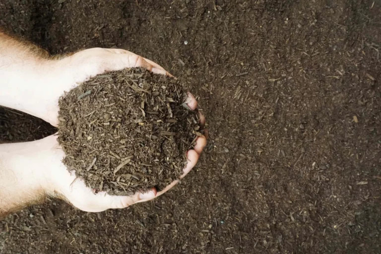 Organic Compost