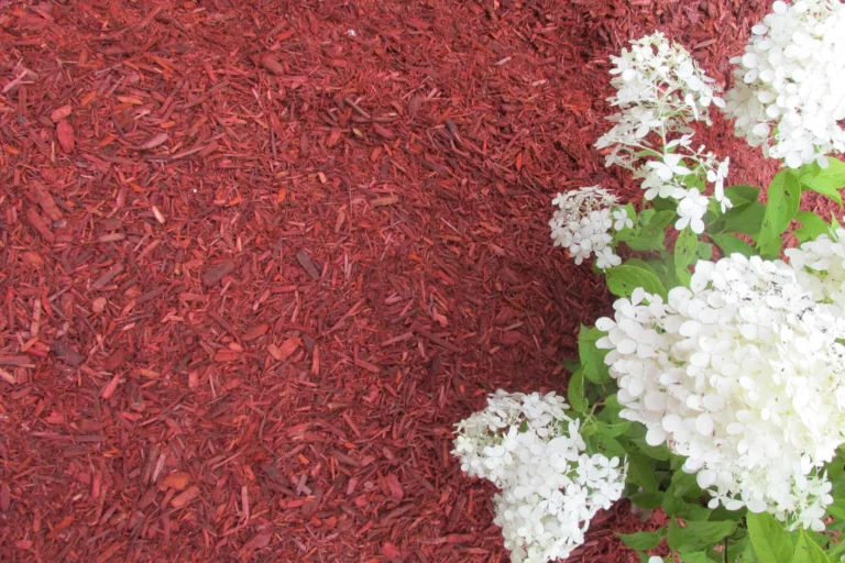 Country Red Mulch