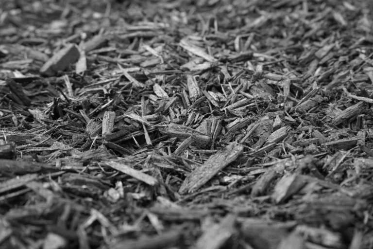 Colonial Black Mulch
