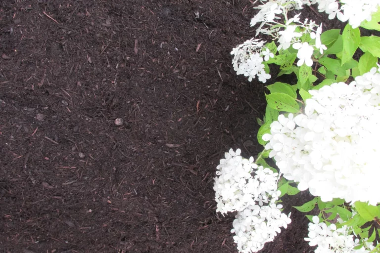 Enhanced Triple Bark Mulch