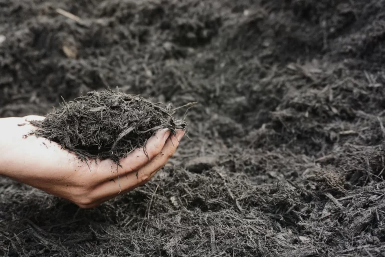 Jet Black Bark Mulch