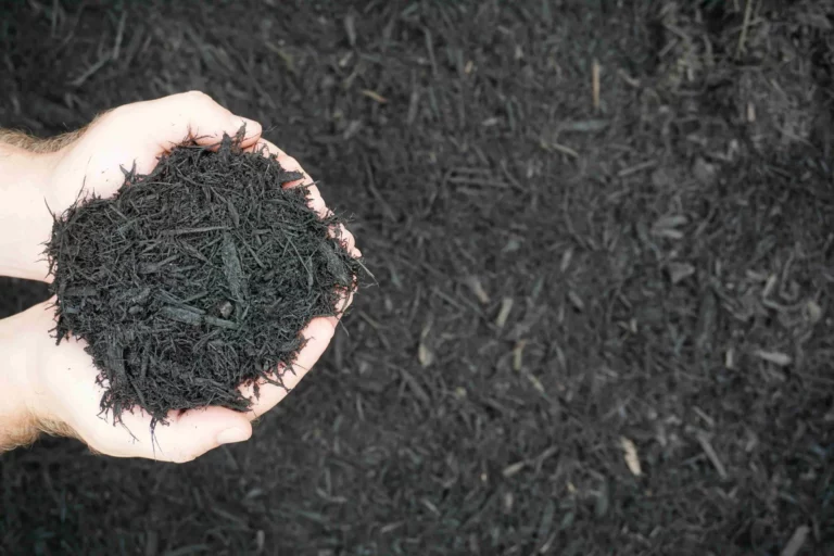 Jet Black Bark Mulch