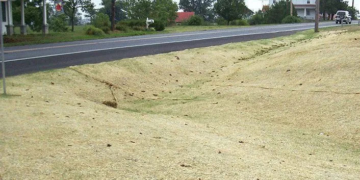 Before: With Straw Matting