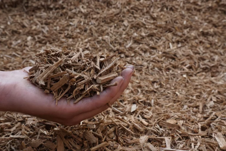 Certified Playground Mulch