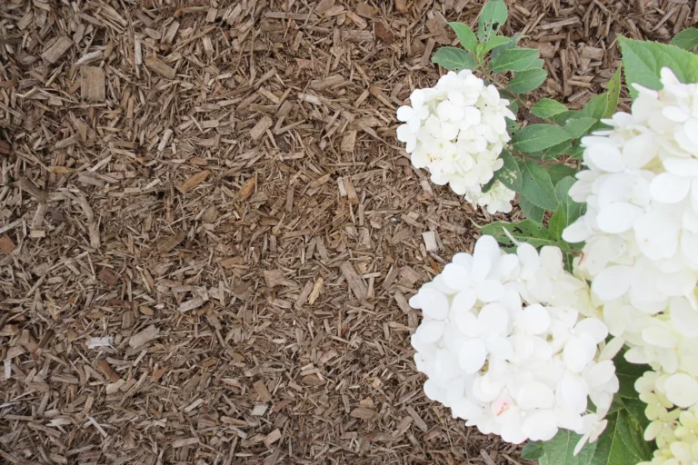 Certified Playground Mulch