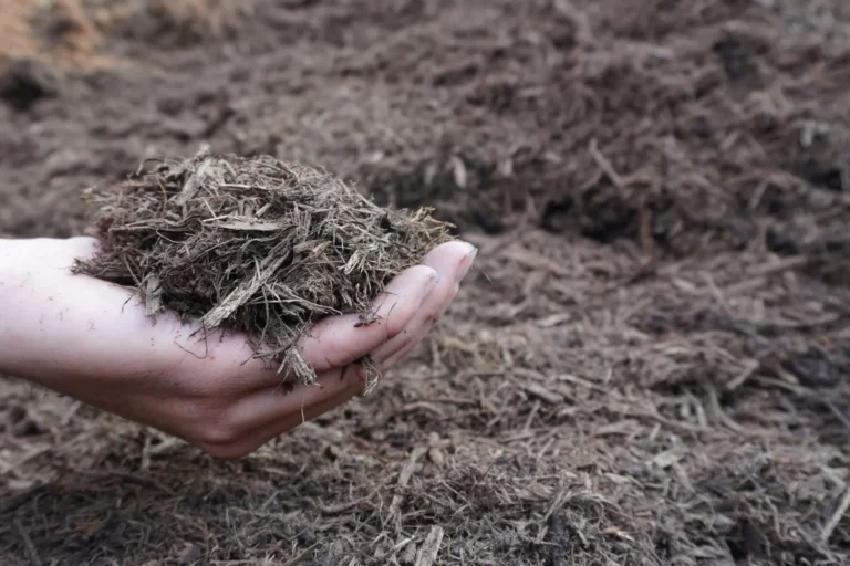Premium Bark Mulch
