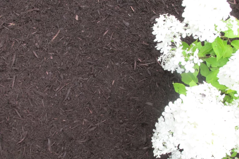 Premium Bark Mulch