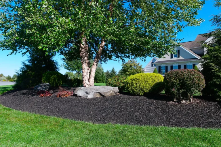 Colonial Black Mulch