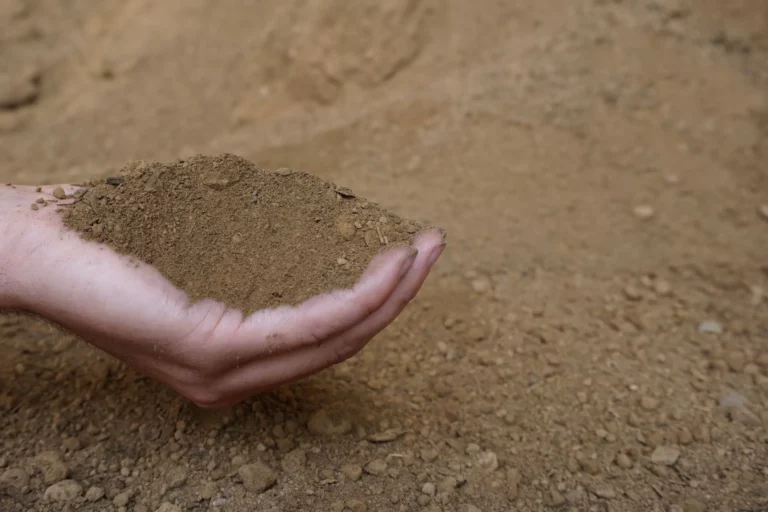 Screened Topsoil