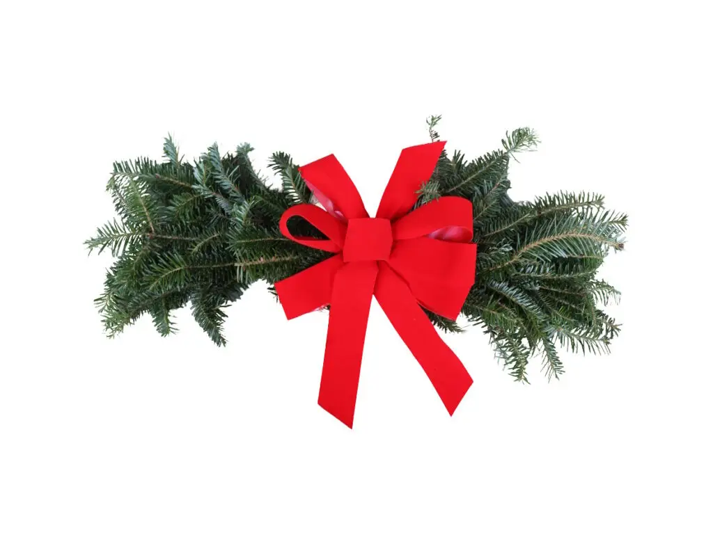 24" Fresh Fraser Fir Swag