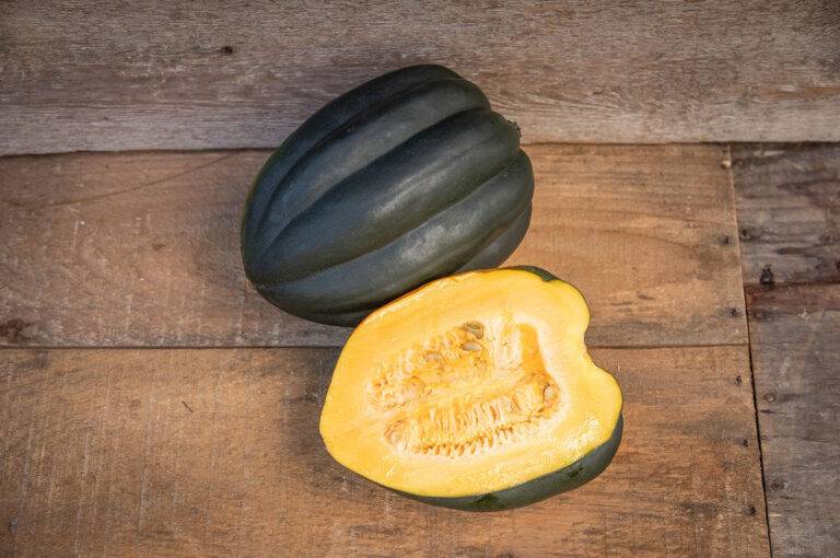 Acorn Squash