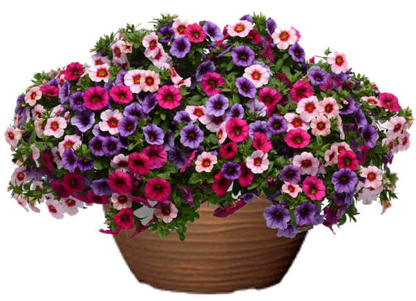 Berry Daring Mix