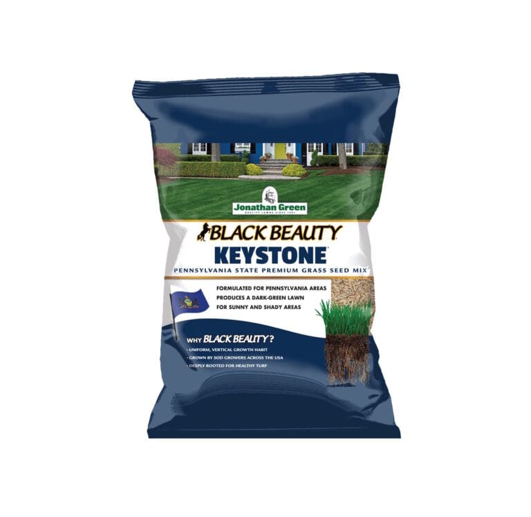 Black Beauty Keystone Grass Seed