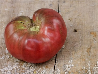 Black krim