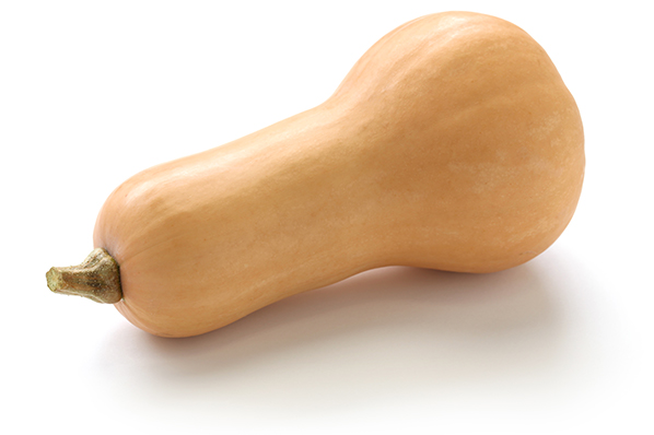 Butternut Squash Plants for sale