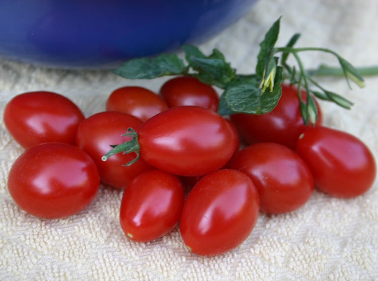 Grape Tomato Plants Smarty