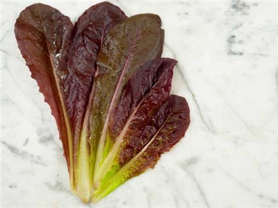 Red Romaine