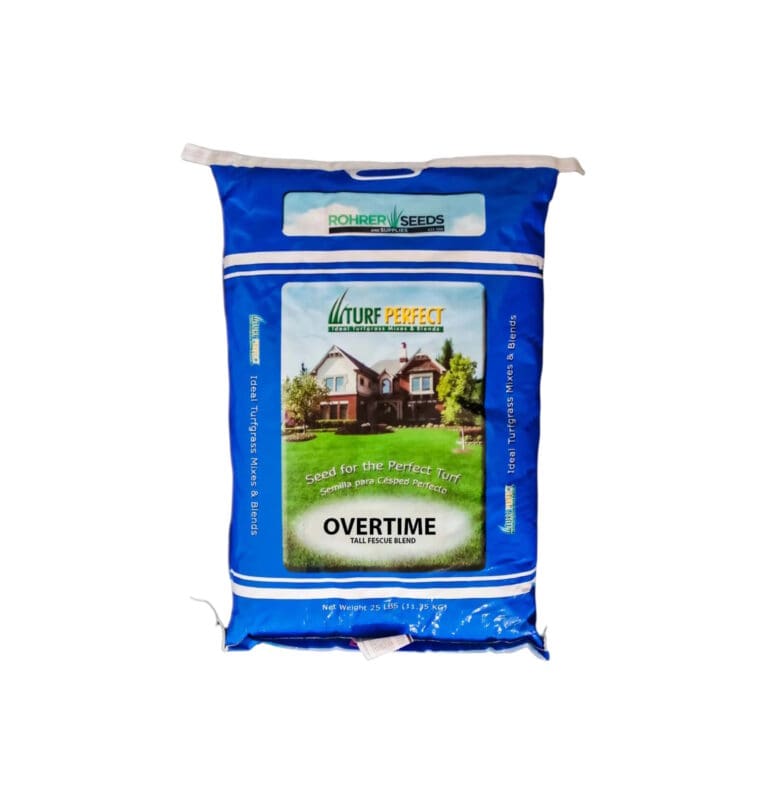 Overtime Tall Fescue