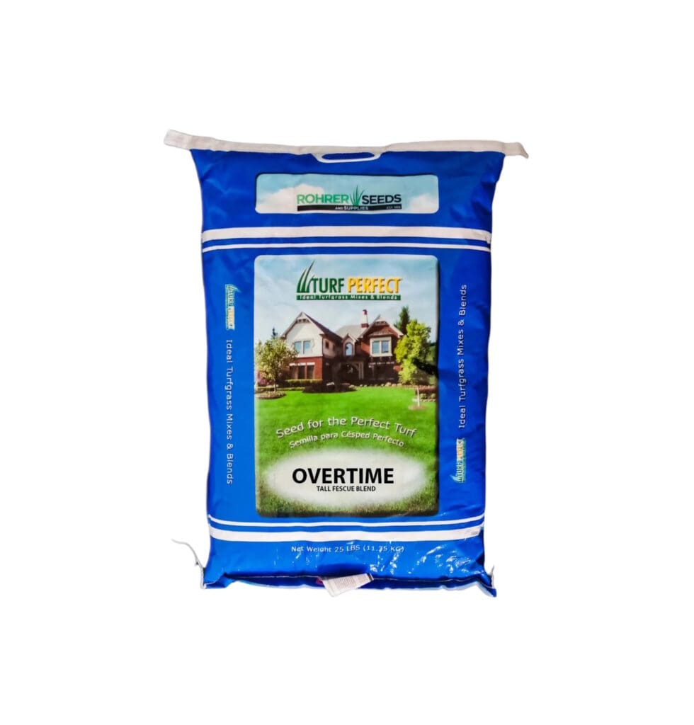 Overtime Tall Fescue Grass Seed