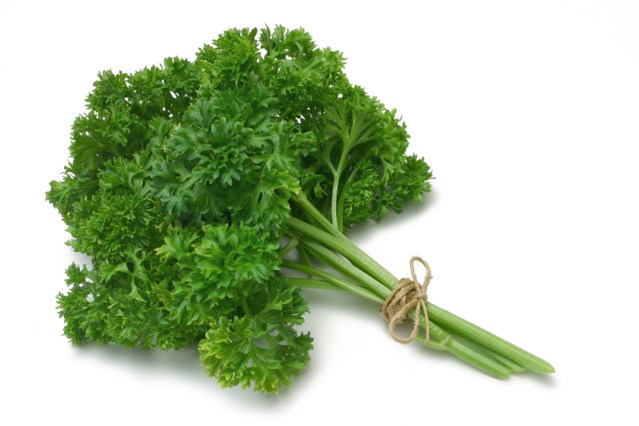 curly parsley plants for sale