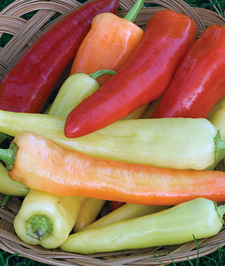 Sweet Banana Pepper Plants for sale