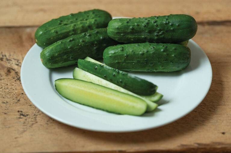Pickling Cucumber