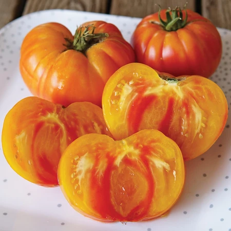 Pineapple Tomato Plants for sale