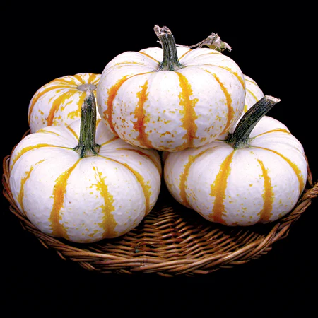 Pumpkemon (3)