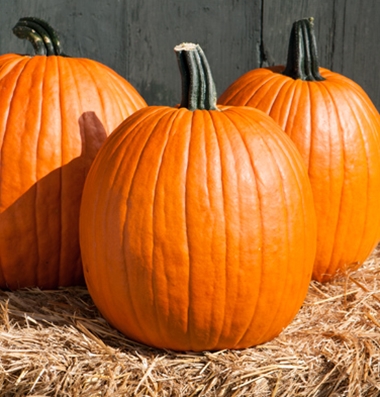 orange carving pumpkin