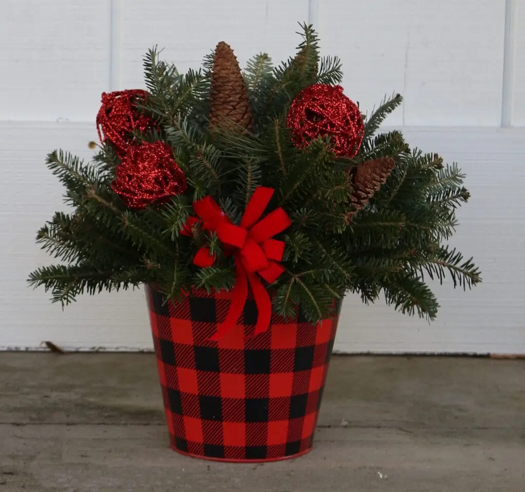 fresh christmas greens planter in red checkered tin