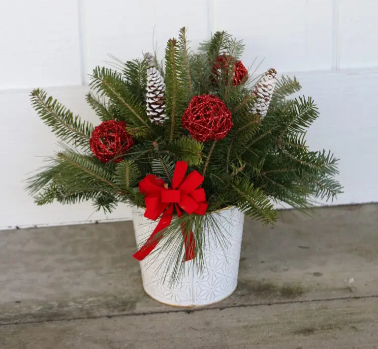 Red Ornament & White pine Cones