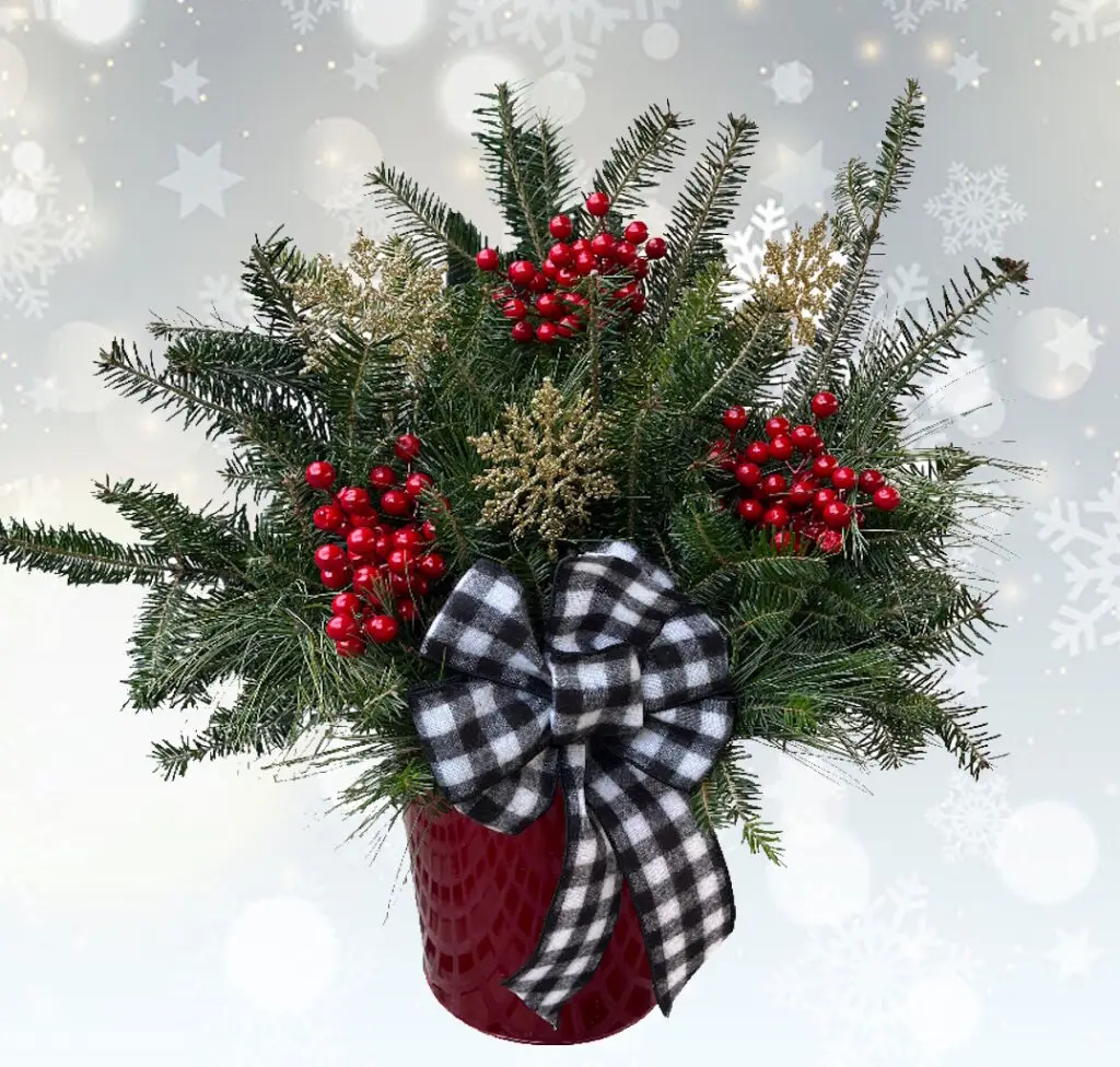 Fresh Christmas greens planter with red berries