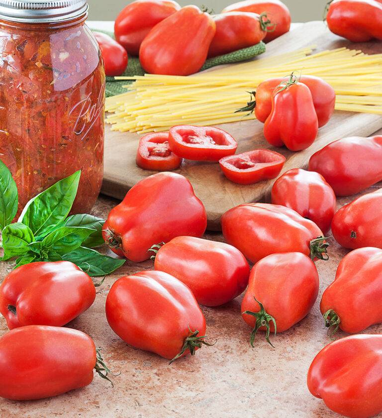 San Marzano