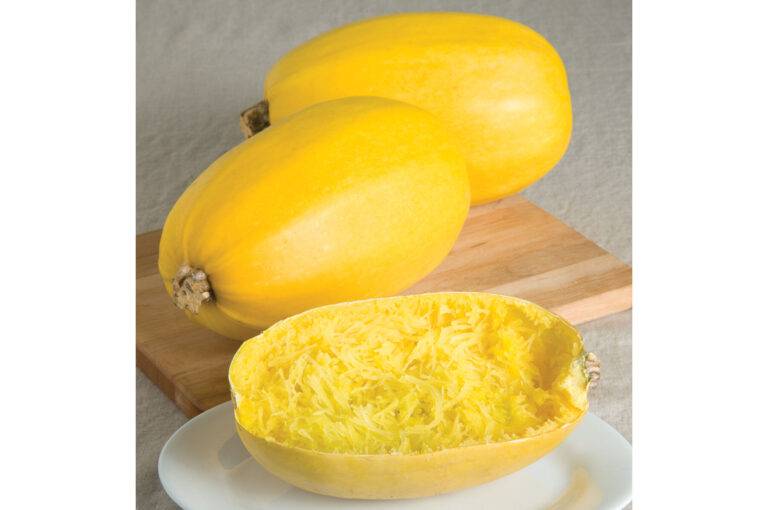 Spaghetti Squash
