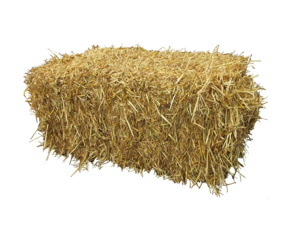 straw bale for grass seeding
