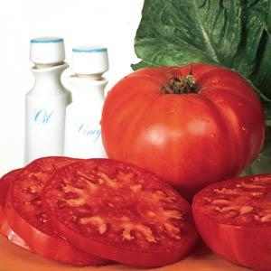 Supersteak Tomato Plants for sale