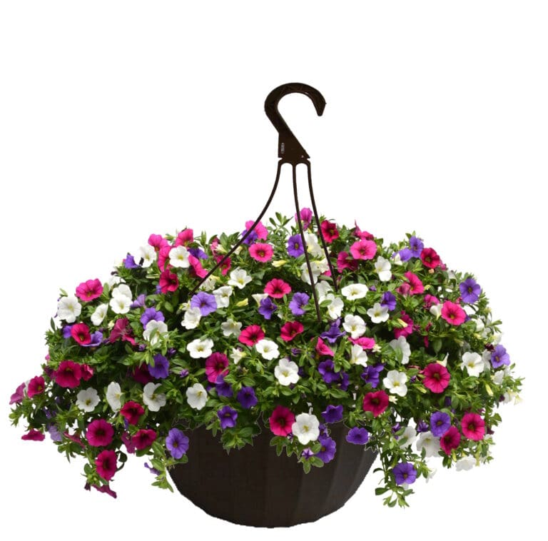 Wild Berry Mix