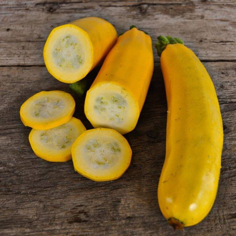 Golden Zucchini