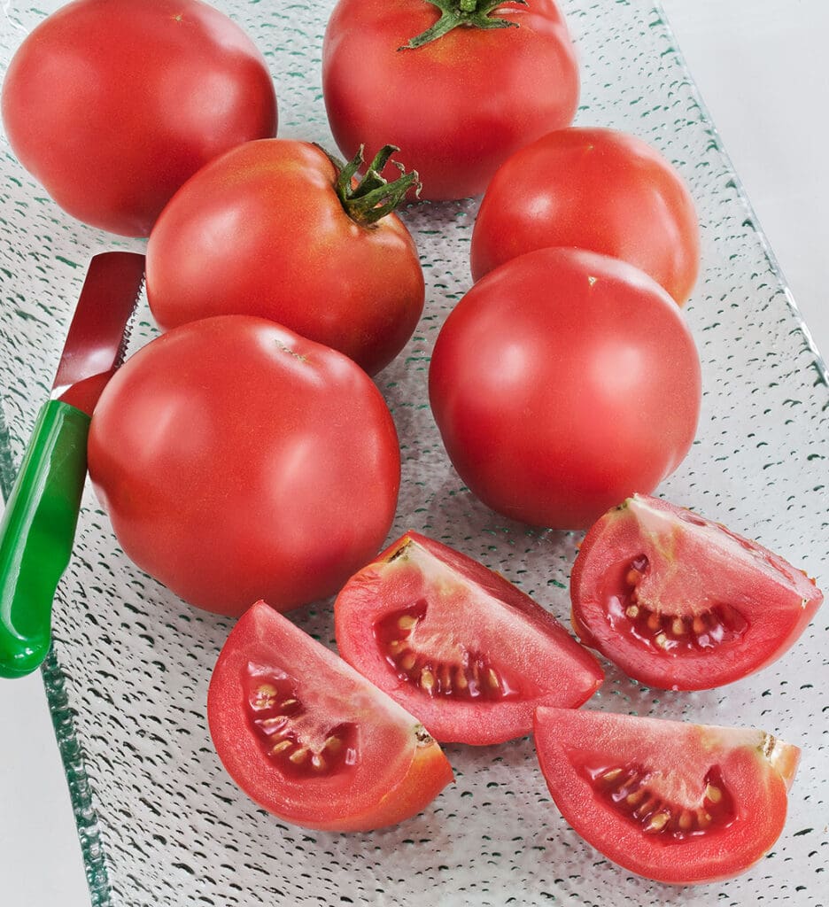 Early Girl Tomato Plants for Sale