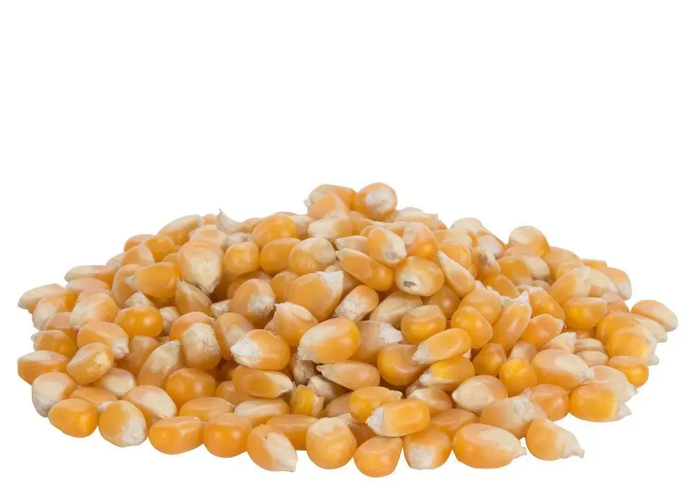 vegetable seeds