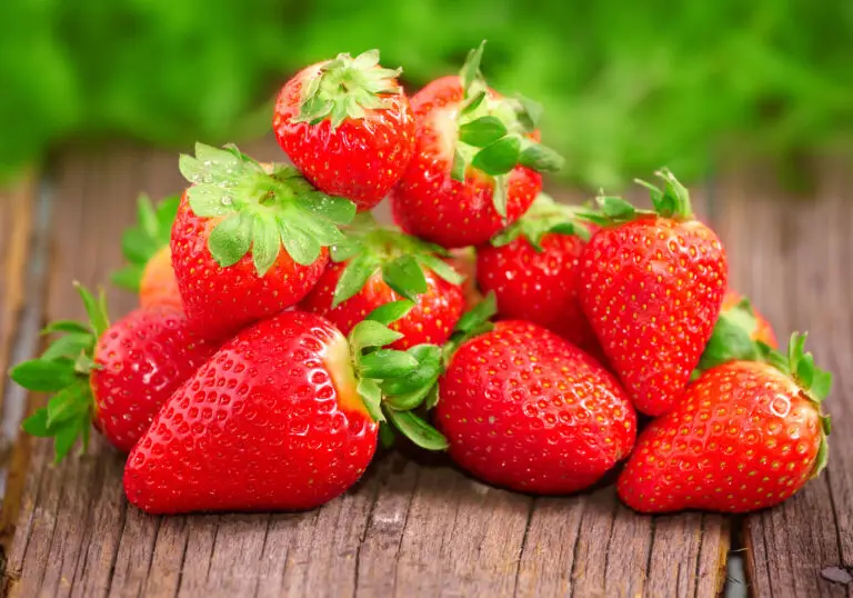 Chandler Strawberry