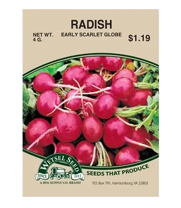 Seed Packets Radish
